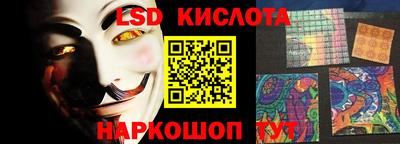 шишки Будённовск