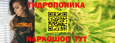 шишки Будённовск