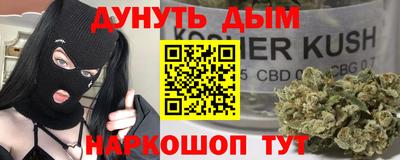 шишки Будённовск