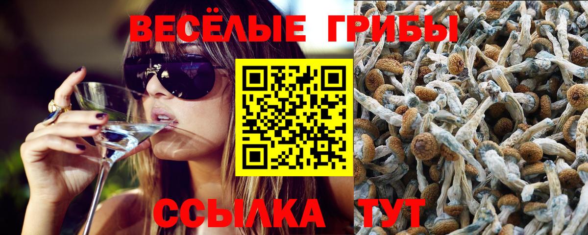 Переславль-Залесский  Псилоцибиновые грибы GOLDEN TEACHER  Вход с VPN 