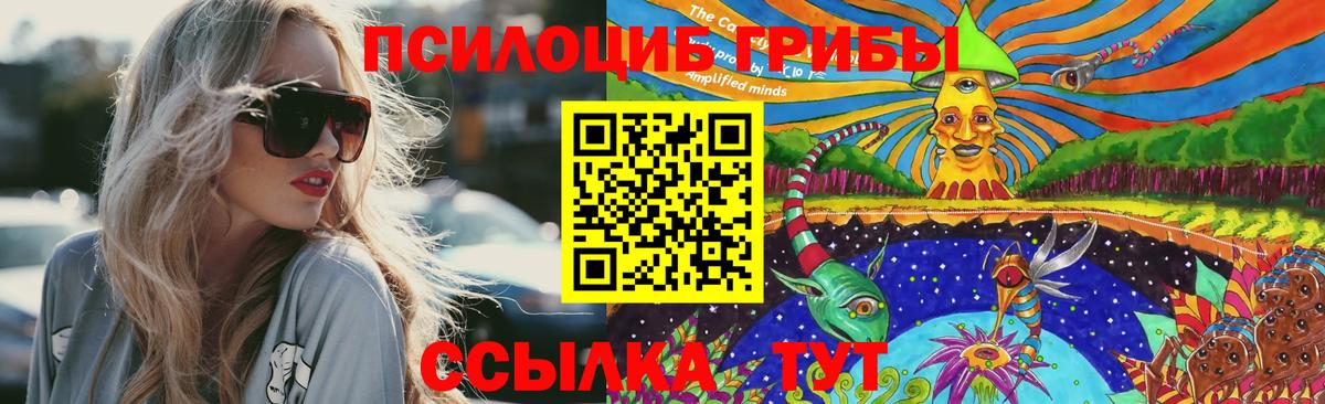 Галлюциногенные грибы MAGIC MUSHROOMS Переславль-Залесский